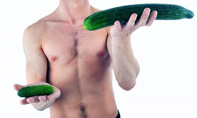 Visualizzazione di un pene maschile piccolo e grande