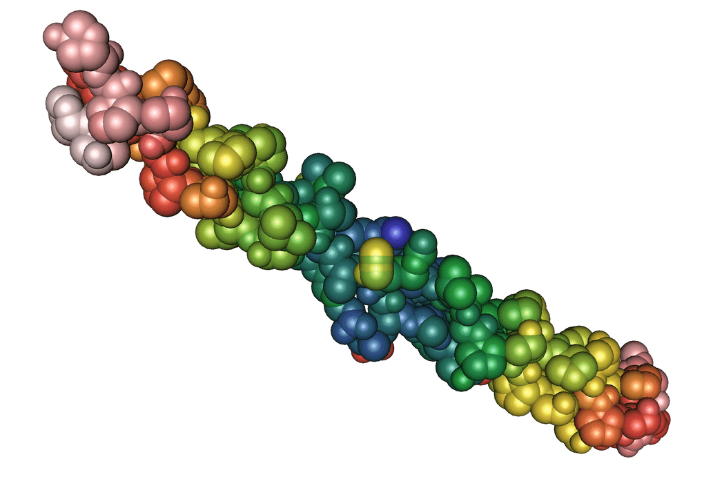 proteina elastina nel gel Pulsero Gel